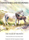 Connemara and it's Ponie