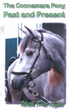 Connemara Seaboard of the horses